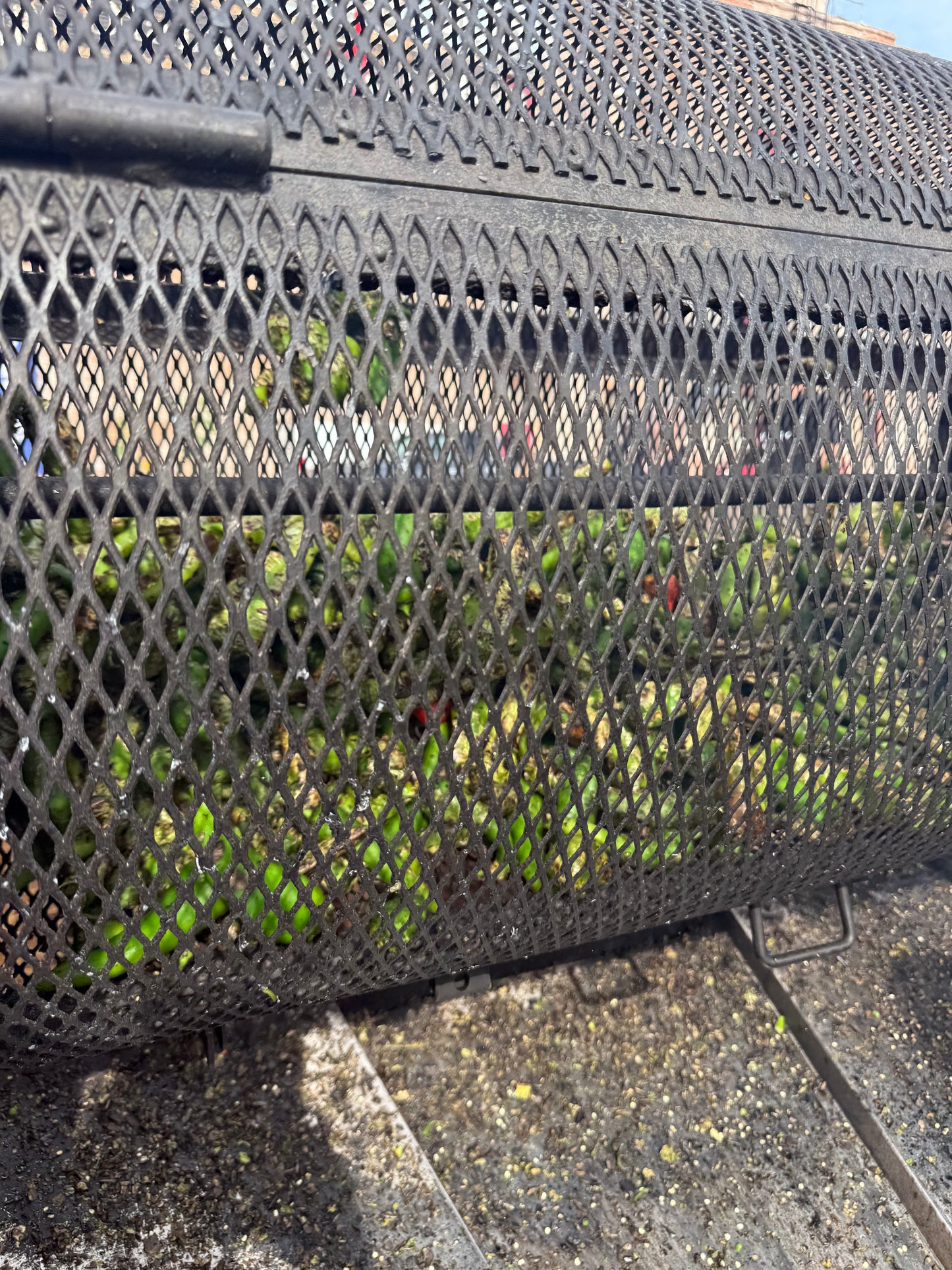 Premium Packaged and Diced Musso Mix Half Bushel LIMITED